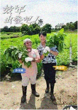 相亲现场观察室综艺封面